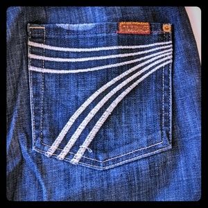 7 For All Mankind size 27 Dojo jeans